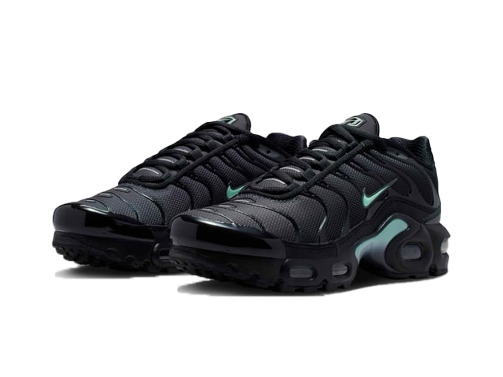 Nike Air Max Plus Black Mint Foam