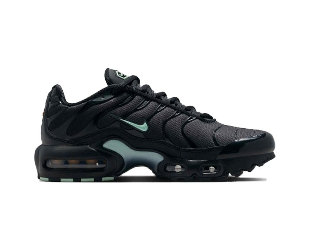 Nike Air Max Plus Black Mint Foam