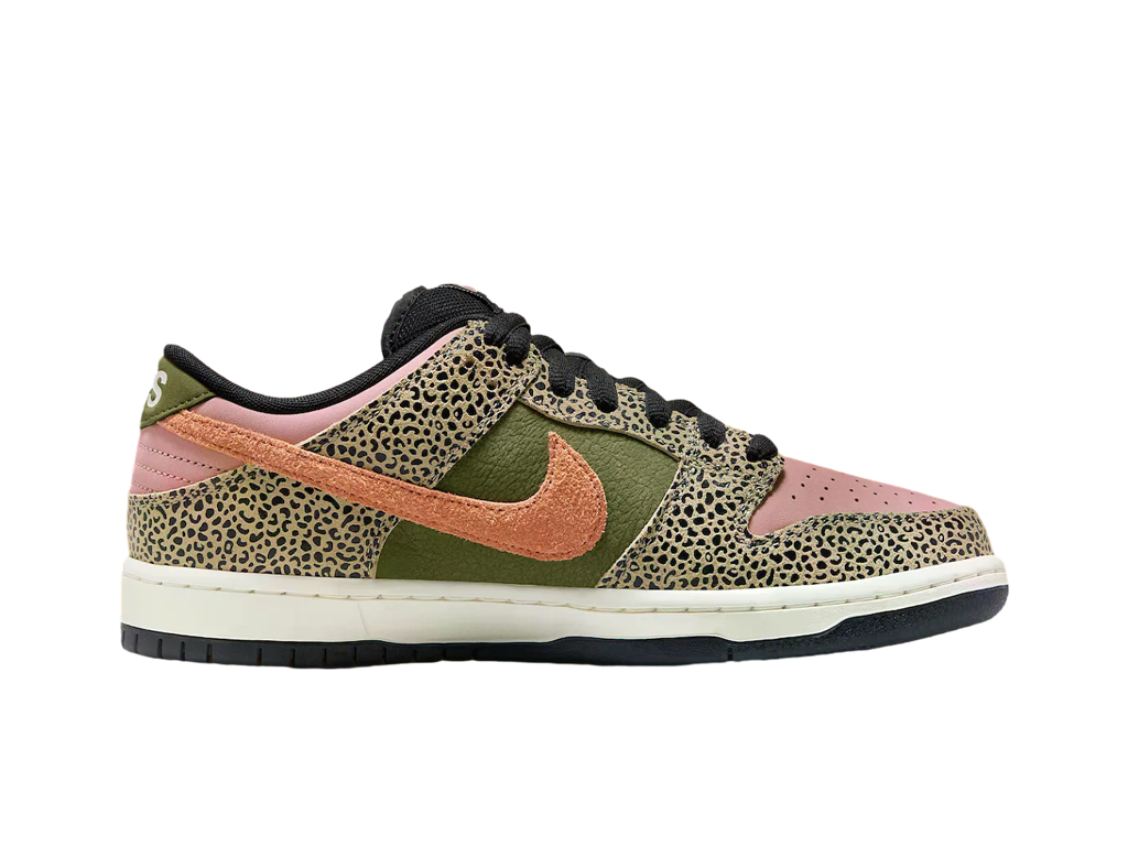 Nike Arts-Rec x Dunk Low SB For Recreational Use