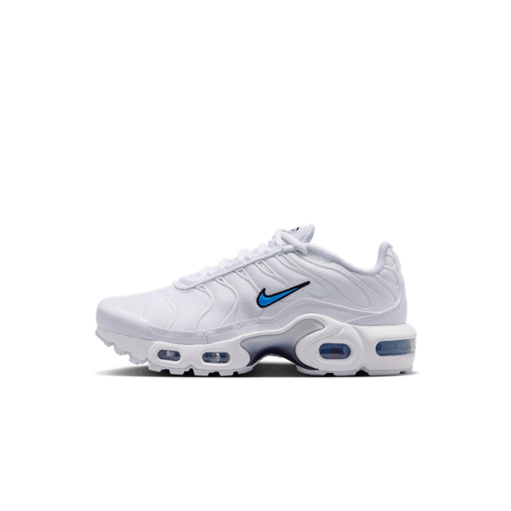 Nike Air Max Plus Triple White Blue Swoosh