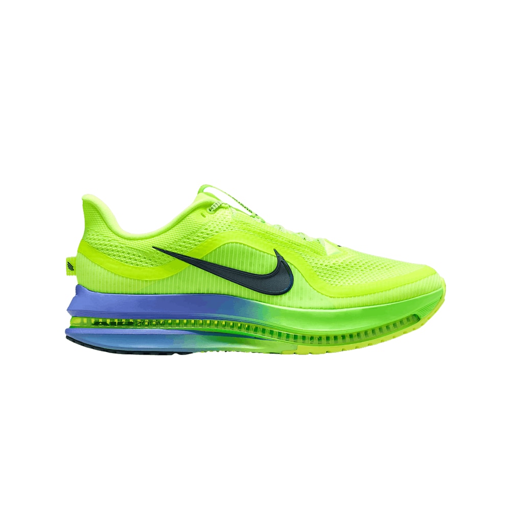 Nike Pegasus Premium Volt Ice