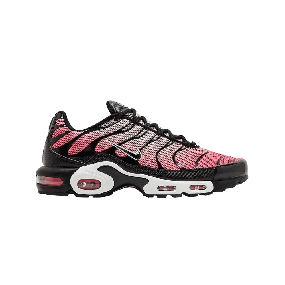 Nike Air Max Plus All Day