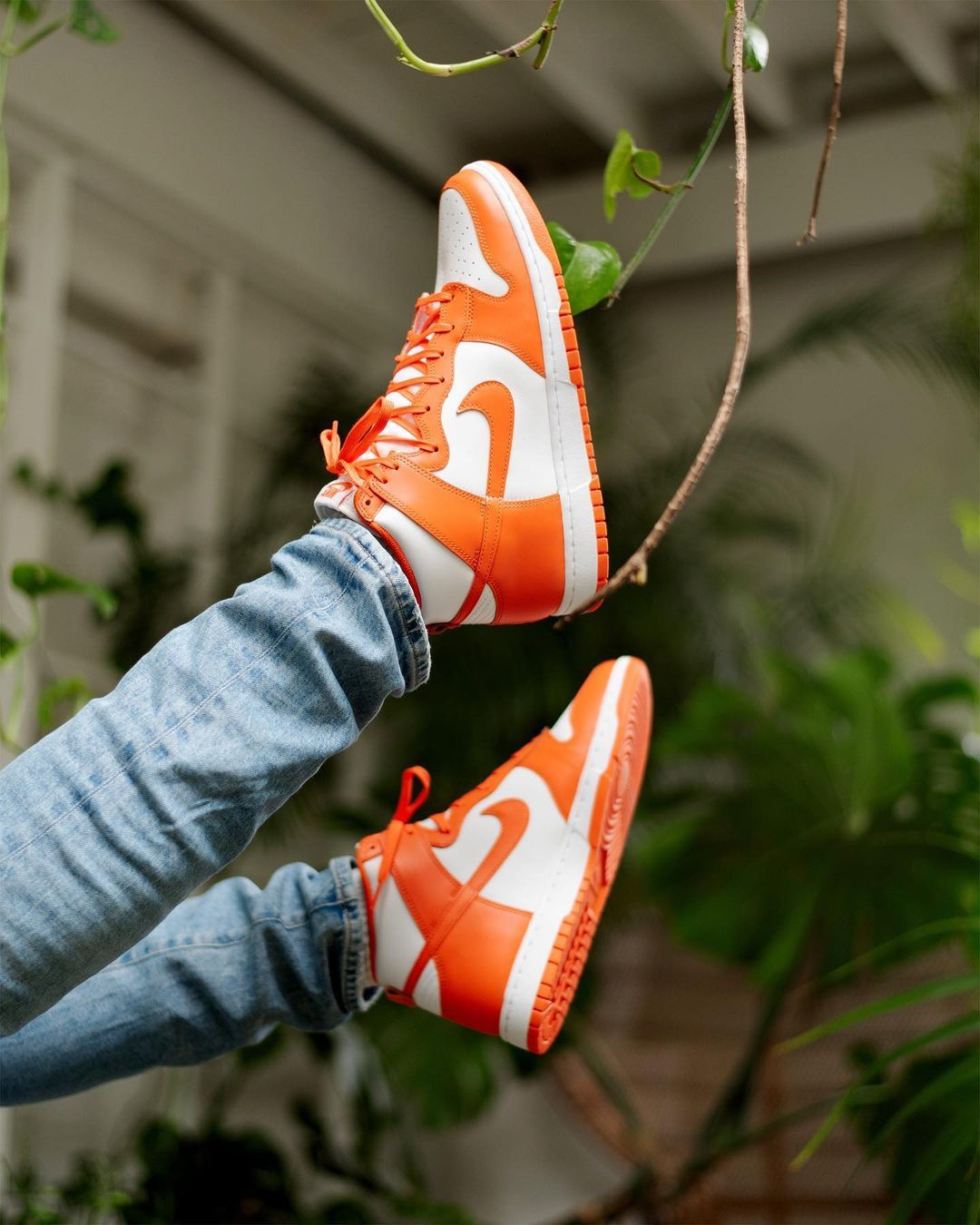 Nike Dunk High