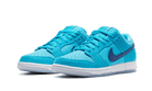 Nike SB Dunk Low Pro Blue Fury-sneakers-Nike-pikastore.cz