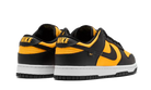 Nike Dunk Low Reverse Goldenrod (2024)-sneakers-Nike-pikastore.cz