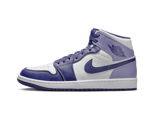 Jordan 1 srednja borovnica