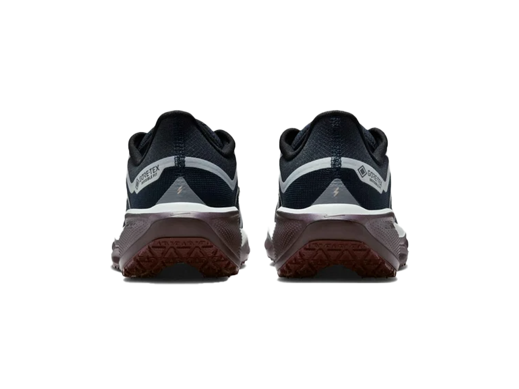 Nike Wmns Air Zoom Pegasus 41 GORE-TEX Dark Obsidian Anthracite Pure Platinum – tenisky – fotka 4 z 5