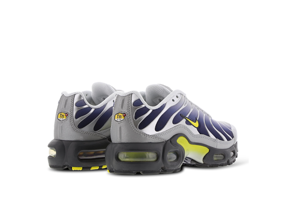 Nike Air Max Plus GS Obsidian Silver