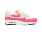Nike Wmns Air Max 1 Aster Pink-Nike-pikastore.cz