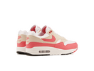 Nike Wmns Air Max 1 Aster Pink-Nike-pikastore.cz
