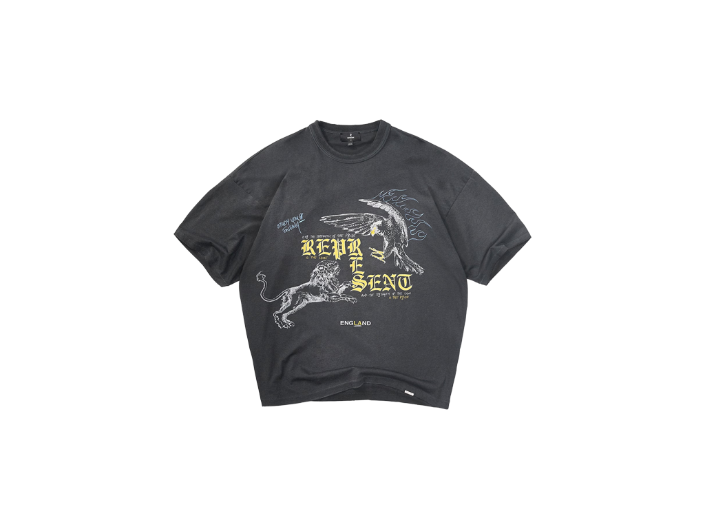 Represent Enemy T-Shirt Washed Black