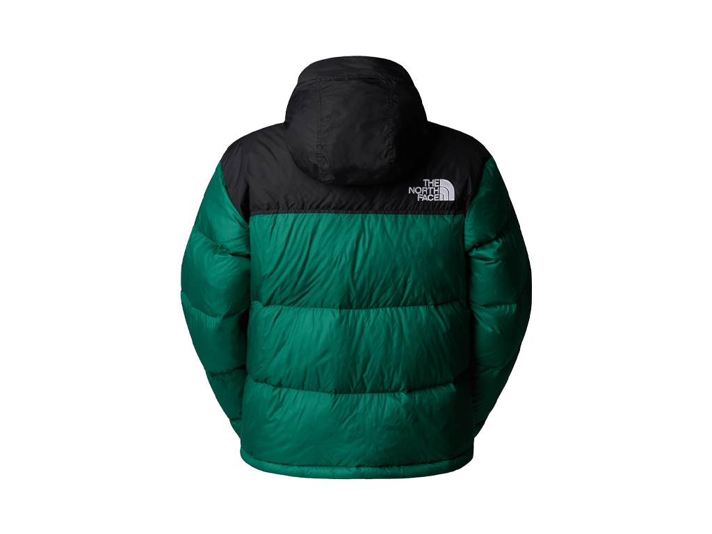 The North Face Womens 1996 Retro Nuptse Jacket Evergreen