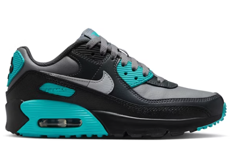 Nike Air Max 90 LTR Cool Grey Dusty Cactus Black Wolf Grey (GS)-Nike-pikastore.cz