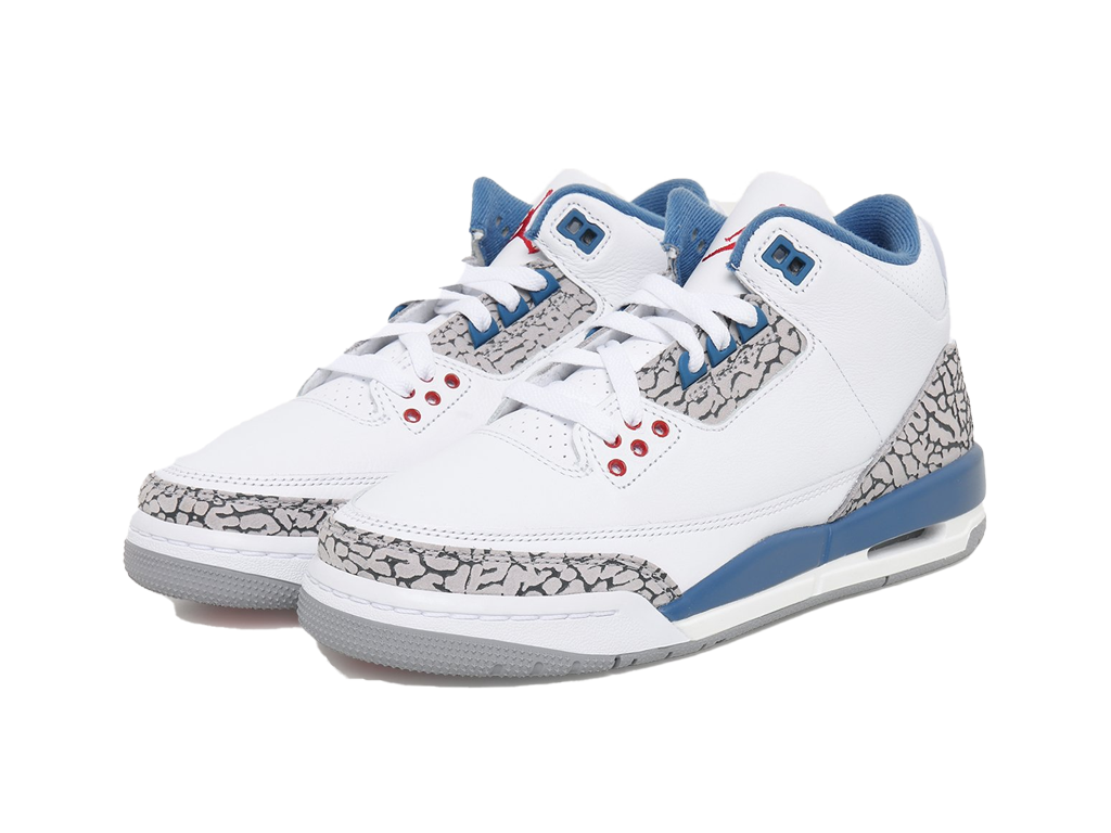 Air Jordan 3 True Blue 2026