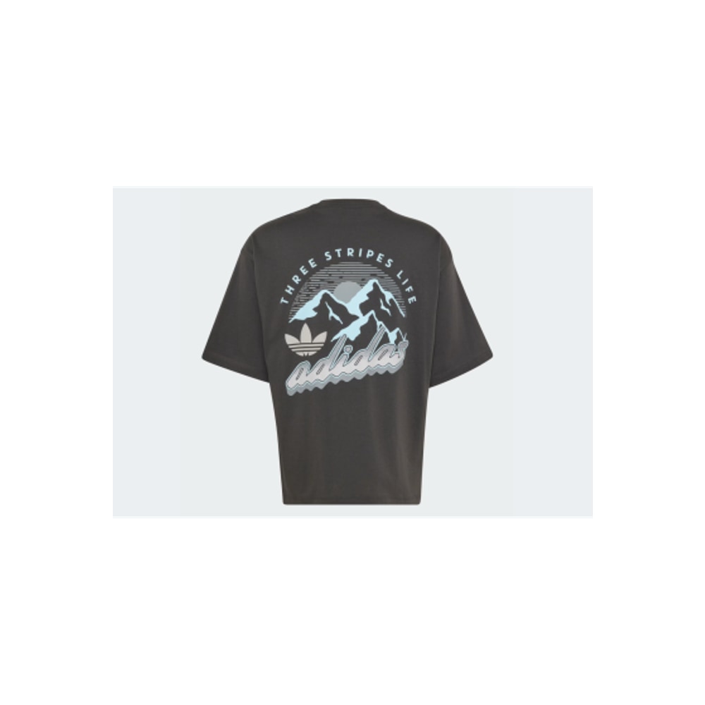 adidas Mountain GFX Tee Utility Black – T-Shirt